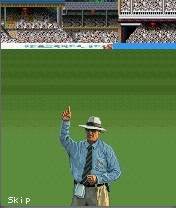 Cricket 20-20 icon
