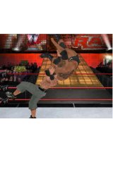 E3 2008: New WWE SmackDown vs RAW 2009 DS screenshots slam in