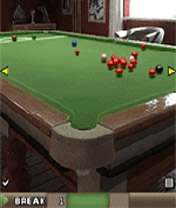 Ronnie O’Sullivan Snooker 2009 icon