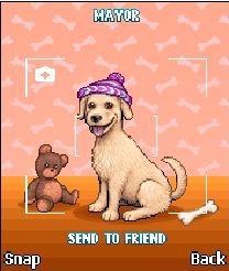 My Pet Store Review