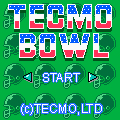 Tecmo Bowl icon