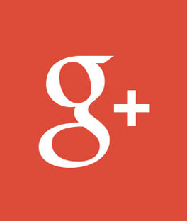 Google Plus news icon