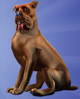 Unleash the animal in you with the The Sims 2 Pets