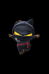 Ninja Captains icon