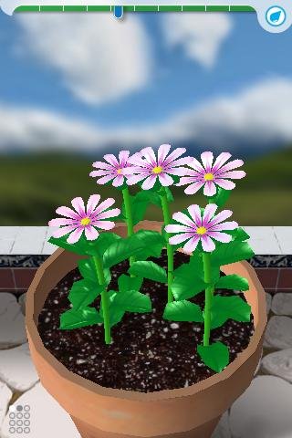 Flower Garden Review