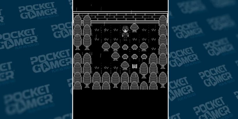 Solving the ladder in the woods.