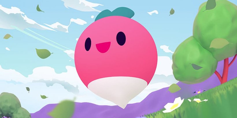 Dadish: A life, a reflection