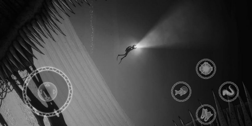 The diver swims through gigantic jaws.