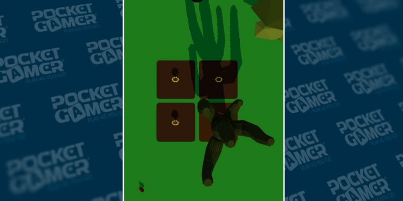 A cactus among the sunflowers.