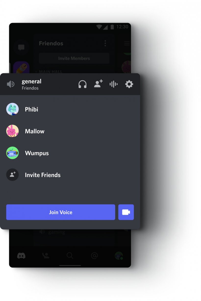 How to use Discord on mobile to setup voice chat for playing