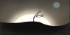 Prune screenshot 8