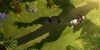Albion Online screenshot 29