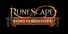 RuneScape screenshot 23