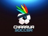 CHARRUA SOCCER screenshot 3
