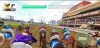 Rival Stars Horse Racing screenshot 7