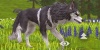 WildCraft: Sim en ligne screenshot 2