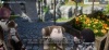 V4 screenshot 13