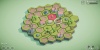 Teeny Tiny Town screenshot 9