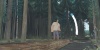 Pine: A Story of Loss screenshot 3