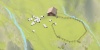Roia screenshot 1
