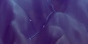 Roia screenshot 3