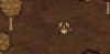 Don't Starve Together screenshot 14