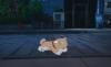 Neverness to Everness screenshot 15