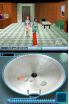 The Sims 2 screenshot 7