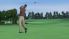 Tiger Woods PGA Tour 2005 screenshot 15