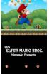 New Super Mario Bros screenshot 5