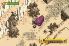 Boktai: The Sun Is In Your Hand screenshot 4