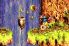 Donkey Kong Country 3 screenshot 2