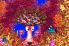 Donkey Kong Country 3 screenshot 4