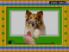 WarioWare, Inc.: Minigame Mania screenshot 4