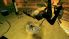 Marvel Nemesis: Rise Of The Imperfects screenshot 4