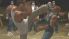 Def Jam Fight For NY: The Takeover screenshot 4