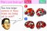Dr Kawashima's Brain Training screenshot 10