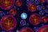 Osmos screenshot 9