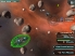 Line Of Defense Tactics screenshot 6