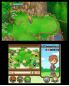 Harvest Moon: The Tale of Two Towns screenshot 6