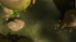 Globosome: Path of the Swarm screenshot 8