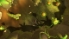 Globosome: Path of the Swarm screenshot 10