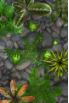 Pocket Frogs screenshot 3