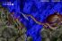Ecco the Dolphin screenshot 1