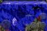 Ecco the Dolphin screenshot 2