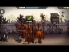 Agent, Run! screenshot 2