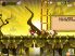 Chop Chop Ninja World screenshot 17
