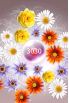 Zepi: Spring screenshot 2
