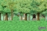 Lynn and the Spirits of Inao screenshot 4