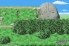 Lynn and the Spirits of Inao screenshot 6